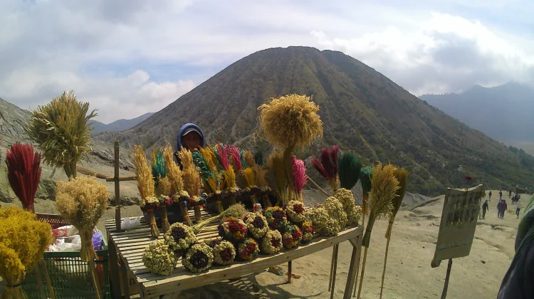 Mount Bromo Closes for Ecosystem Recovery