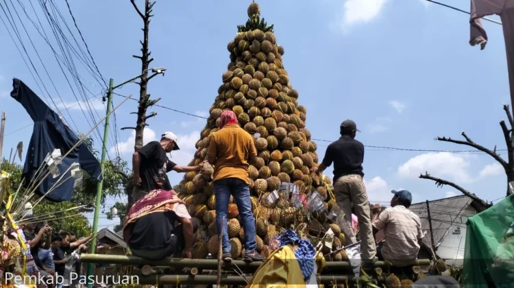1,000 Durian "Mountain" Headlines Village Gratitude Ceremony in Pasuruan