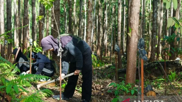 IKN Authority Promotes Green Footprints Through Participatory Reforestation