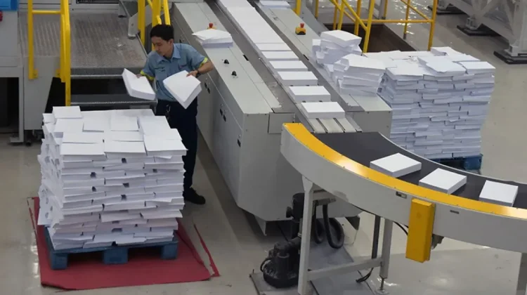 National Pulp and Paper Contributes 3.73 Percent to GDP: Govt