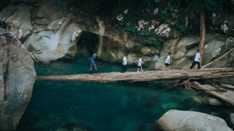 Former Loggers Transform Nyarai Village Into Ecotourism Hub