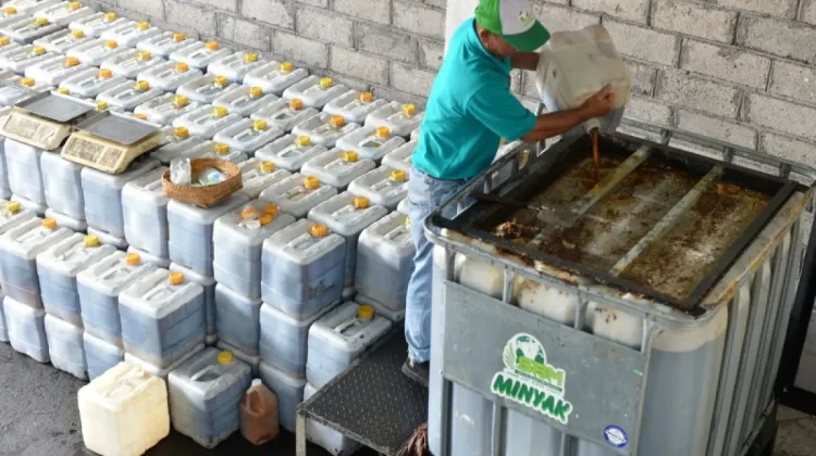 Indonesia Strengthens Energy Security Through Biofuel Policies