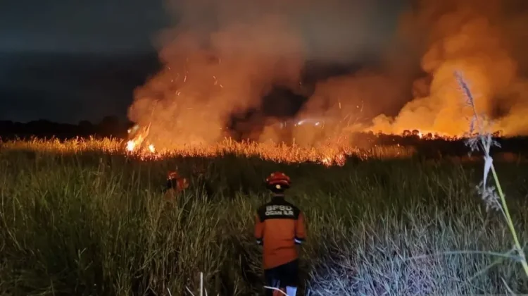 South Sumatra Braces for Wildfire After Peatland Blaze
