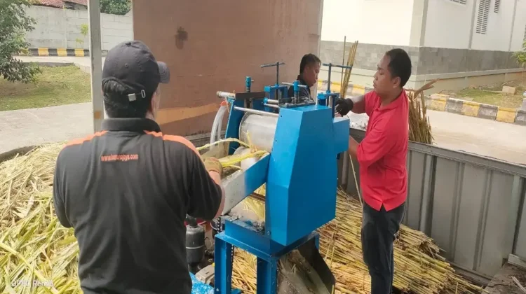 BRIN Unveils Sorghum-Based Granulated Sugar Technology to Boost Farmer Income