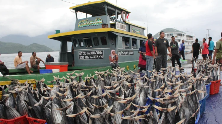 Lawmaker Warns of IDR 3,000 Trillion Blue Economy Losses Amid Illegal Fishing