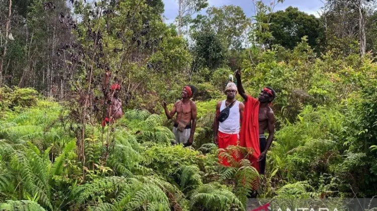 Papua Assembly Moves to Protect Customary Land Through Special Regulation