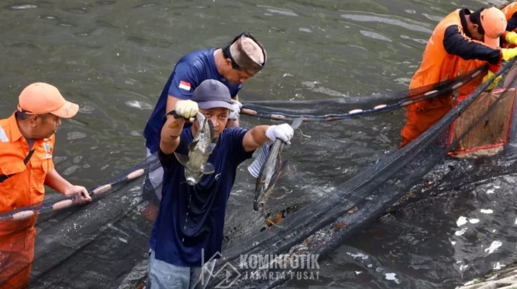 Jakarta Governor Orders Citywide Cleanup of Invasive Suckermouth Catfish