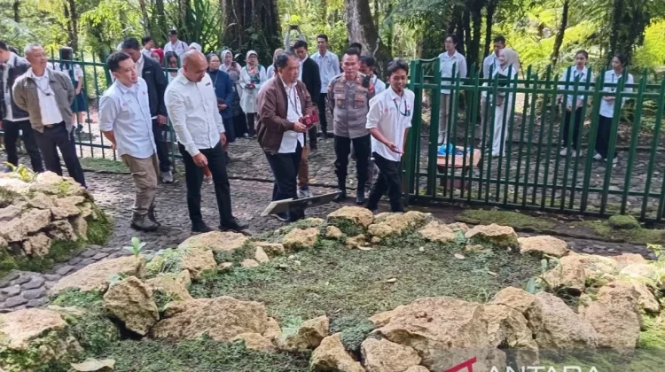 Cibodas Botanical Garden Revamps Moss Garden for Education