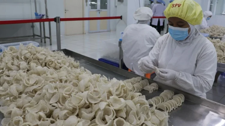 Indonesia Intensifies Diplomacy to Restore Bird’s Nest Exports to China