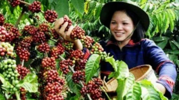 Agriculture Ministry Pushes Carbon-Based Economic Transformation