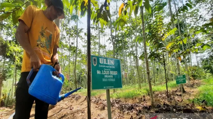 Sustainable Forest Management Models in Kalimantan’s Rainforest Park