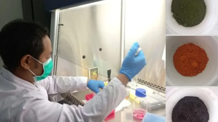 BRIN Unveil Potent Synergistic Herbal Trio as Promising Anticancer Candidates