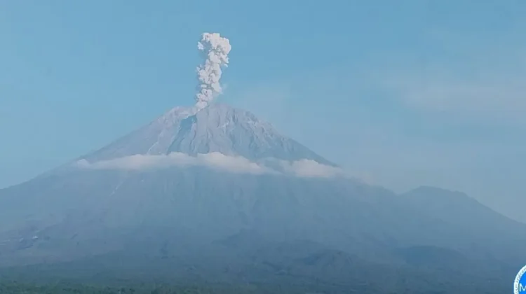 Mount Semeru Erupts Five Times, Plumes Reach Heights of 1,200 Meters