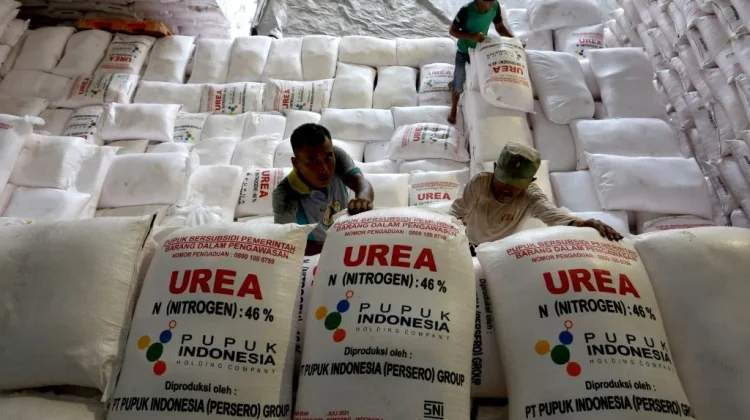 Countries Turn to Indonesia for Fertilizer as Global Supply Chains Falter