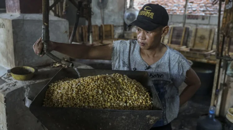 Indonesia to Revoke Licenses of Soybean Importers Manipulating Prices