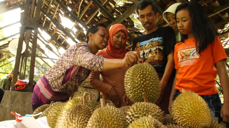 Indonesian Frozen Durian Exports to China Reach 4,077 Tons This Year