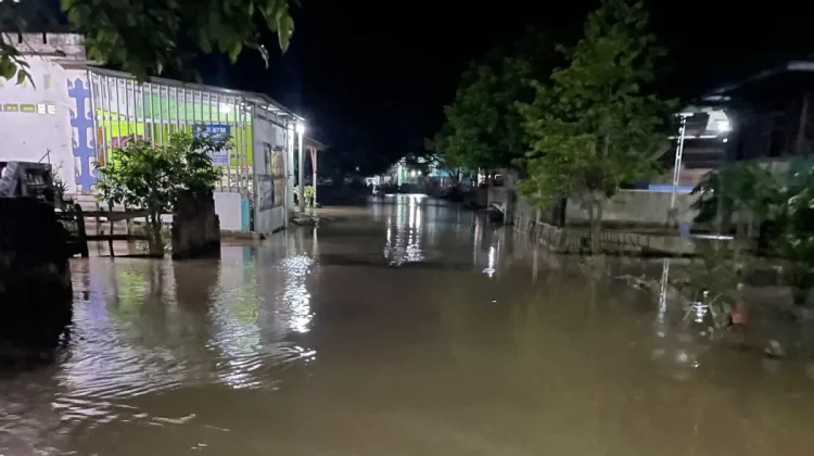As Many as 1,277 Homes in OKU South Sumatra Drowned in Floods