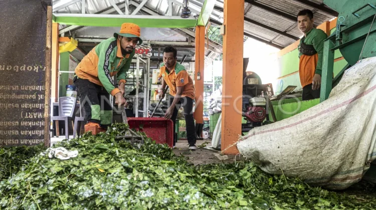 North Jakarta Tackles Organic Waste via Circular Economy Model