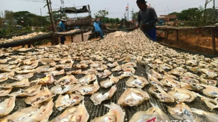 Cirebon Strengthens Yangjiang Ties for Agritech, Fisheries Growth