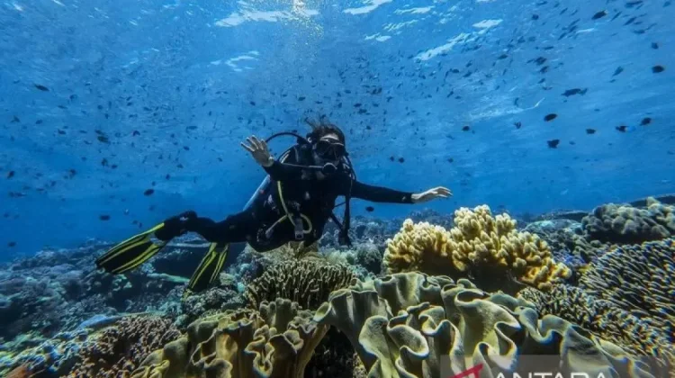 Indonesia Eyes Quality Tourism Growth at ADEX Singapore 2026