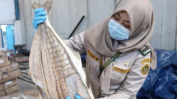 15 Tons of Indonesian Salted Fish Approved for Export After Quality Checks