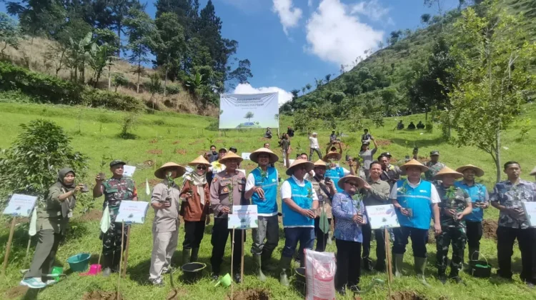 PLN Plants 20,000 Coffee Trees in Banjarnegara to Mark Earth Day