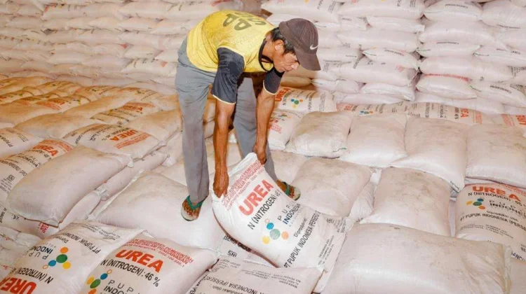 Indonesia’s Surplus Urea Fertilizer Attracts Interest from India, Philippines