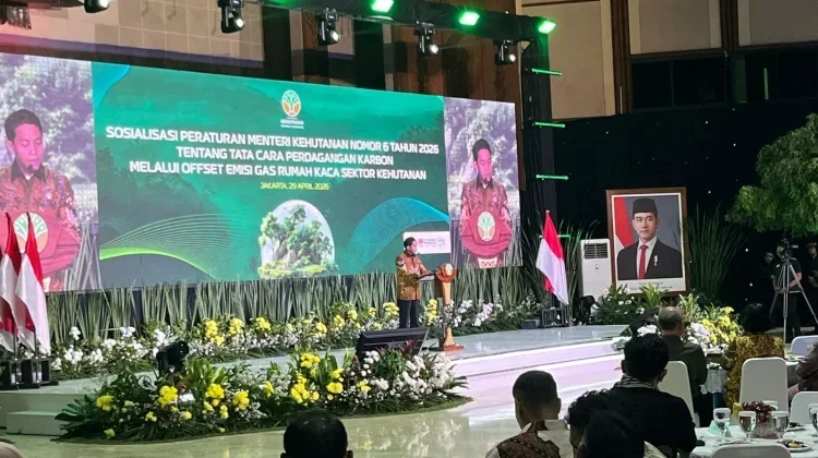 Forestry Minister Highlights Carbon Trading to Help Local Communities