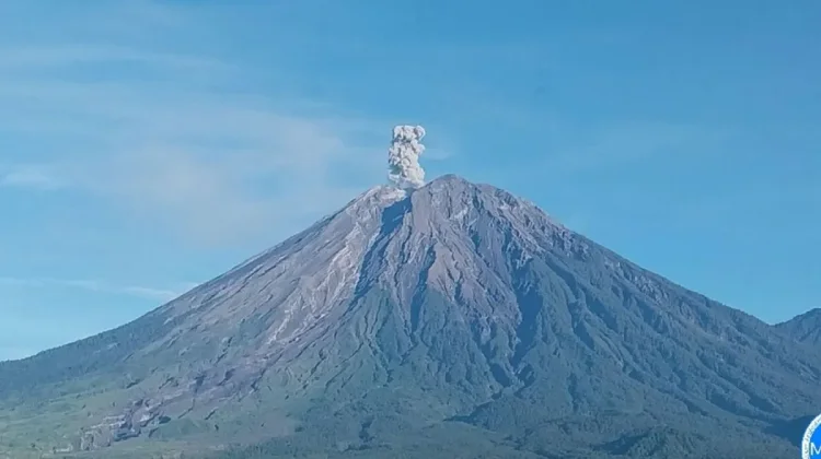 Mount Semeru Activity Remains Dominated by Eruption Earthquakes
