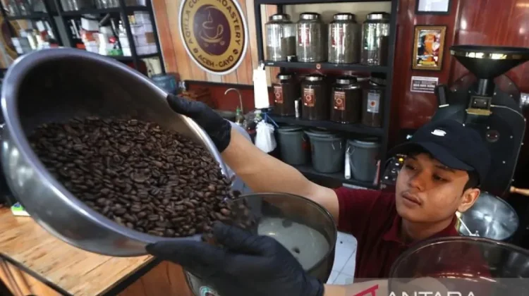 Aceh Strengthens Global Coffee Footprint with Major Export Expansion to US Market