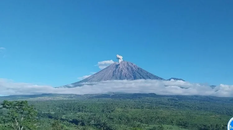 Mount Semeru Erupts Twice with Plumes Reaching 700 Meters
