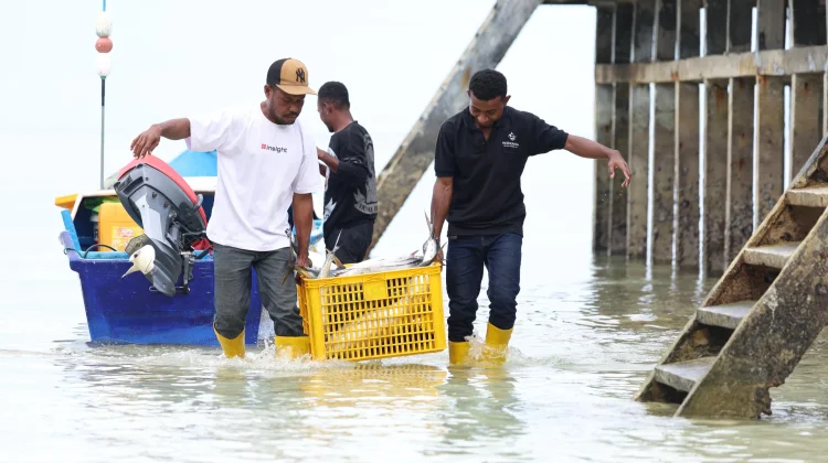 Govt Strengthens Fisheries Workers Protection through ILO Ratification