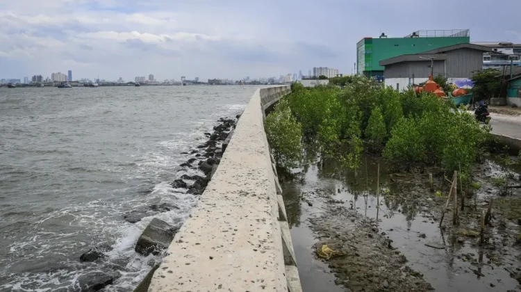 Indonesia Accelerates Seawall Construction to Counter Rising Seas