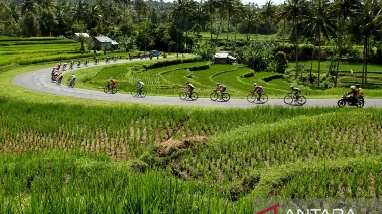 West Sumatra to Introduce Non-Competitive Tour de Singkarak to Boost Tourism