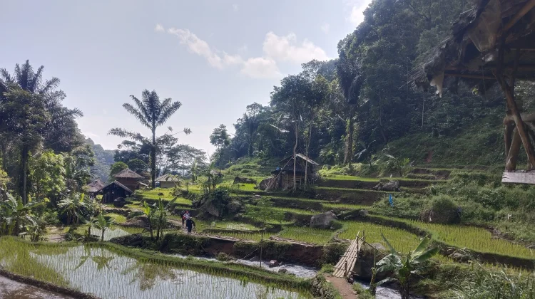 Subang’s Cibeusi Village Offers a Blueprint for Rural Serenity