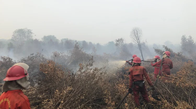 Govt Strengthens Wildfire Early Detection Ahead of 2026 Dry Season Peak