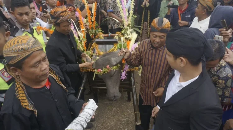 Trenggalek Revives Ancestral Legacy with Annual Nyadran Dam Bagong Ritual