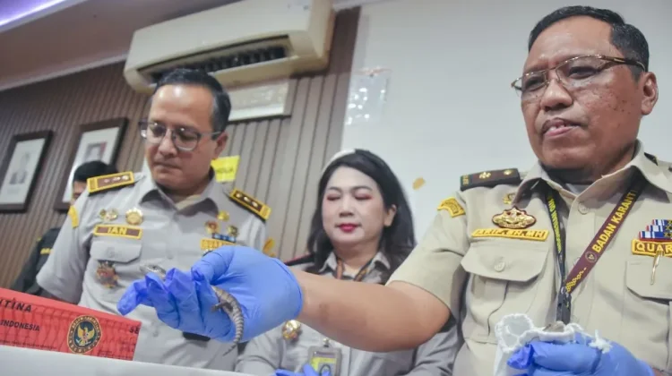Exotic Animal Smuggling Attempt Foiled at Soekarno-Hatta Airport