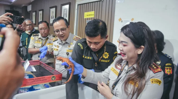 Authorities Thwart Exotic Wildlife Smuggling Attempt from Thailand
