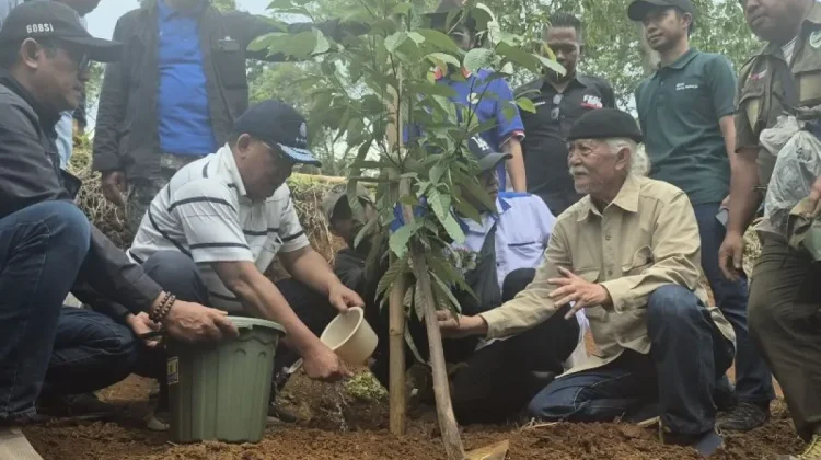 Twelve Thousand Trees Planted in Bandung to Prevent Floods and Restore Land