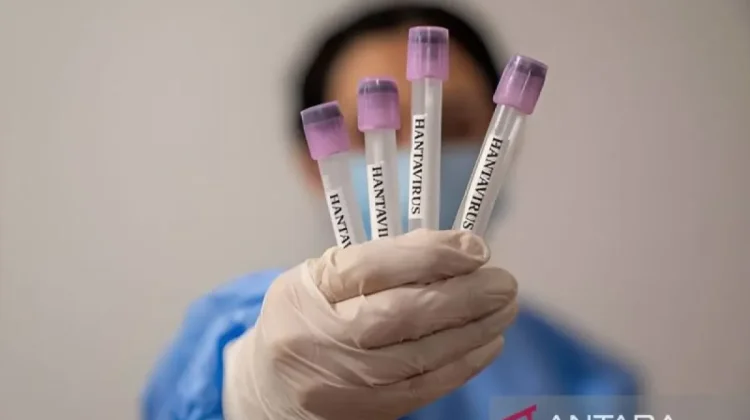 Yogyakarta Health Agency Ramps Up Surveillance to Prevent Hantavirus