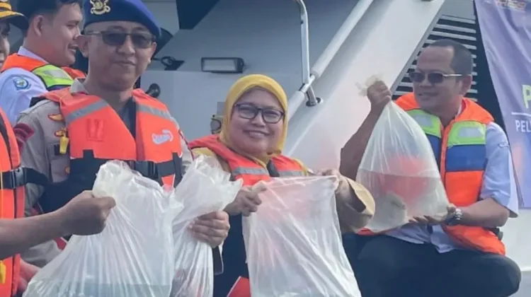 As Many as 183 Napoleon Wrasse Released into Kepulauan Seribu Waters