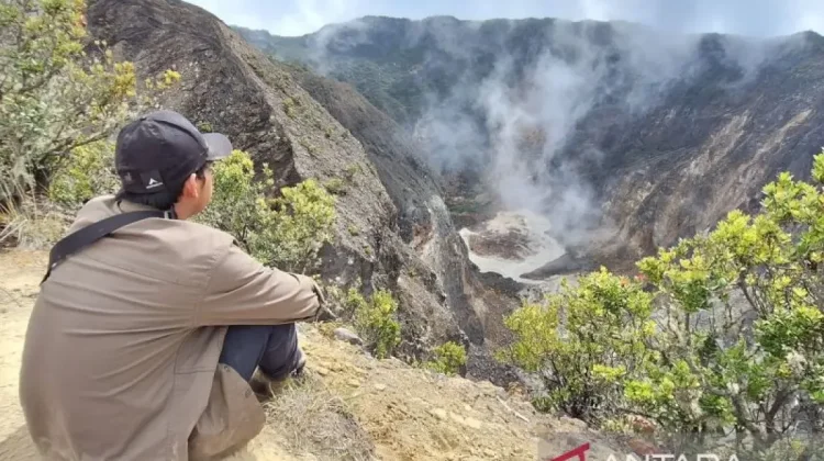 Mount Ciremai's Forest Offers a Blueprint for Indonesia's Climate Goals