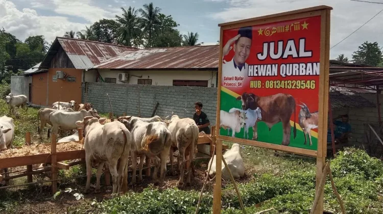 Health Ministry Warns of Zoonotic Risks During Eid al-Adha 2026