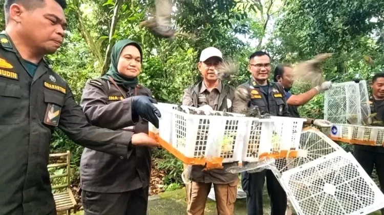 NTB Releases 1,392 Rescued Birds into the Wild