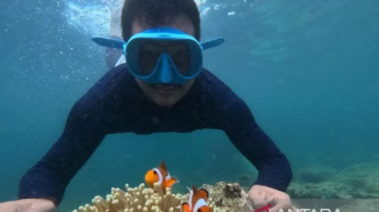 Pahawang Island, Lampung’s Maldives-Like Marine Escape