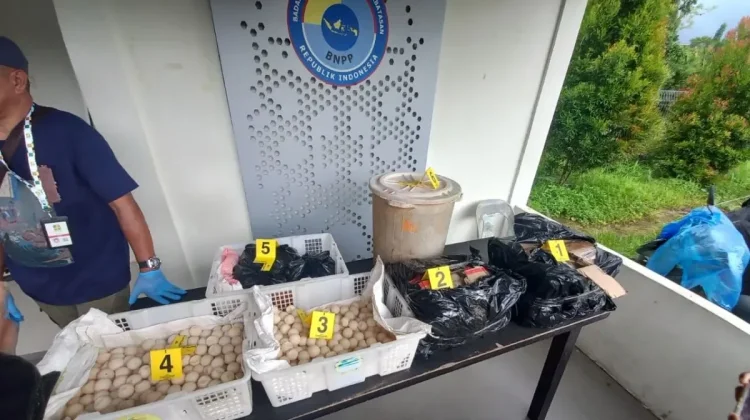 Joint Border Operation Foils Smuggling of 2,253 Turtle Eggs in West Kalimantan