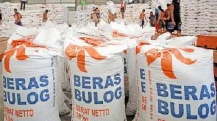 Foreign Nations Seek Rice Supplies from Indonesia: President Prabowo