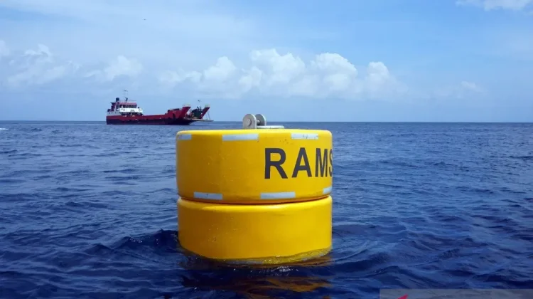 As Many as 136 Buoys Deployed to Save Raja Ampat's UNESCO Status