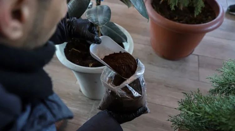 From Waste to Worth: Indonesian Researcher Turns Coffee Grounds into High-Value Oil